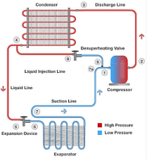 La importancia segunda parte