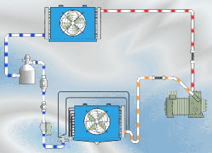 circuito-frigorifico-en-movimiento