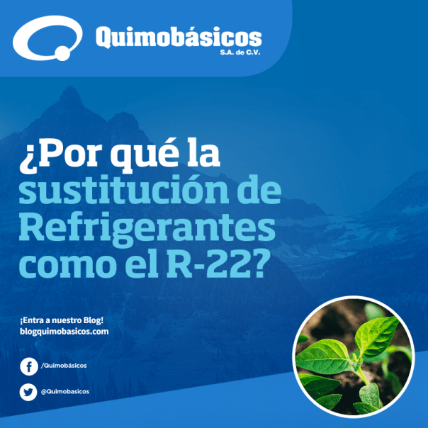 REDES_QUIMOBASICOS