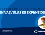 COLOCACIÓN DEL BULBO SENSOR EN VÁLVULAS DE&nbsp;EXPANSIÓN