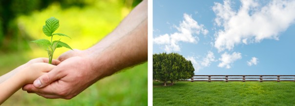 shutterstock_151299380